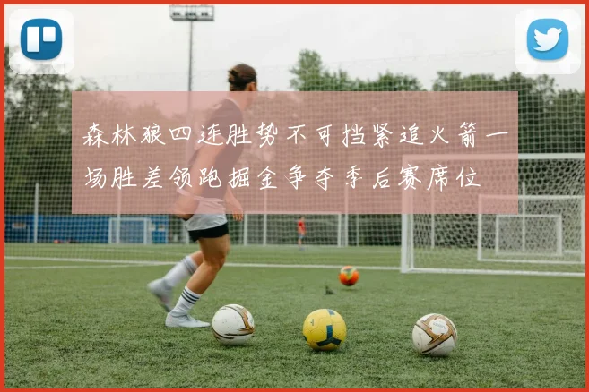 森林狼四连胜势不可挡紧追火箭一场胜差领跑掘金争夺季后赛席位